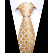 Formal Classic Patterned Tie product image