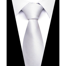 Formal Classic Patterned Tie product image
