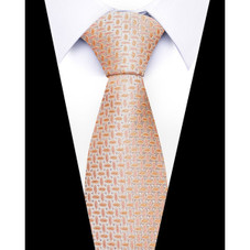 Formal Classic Patterned Tie product image