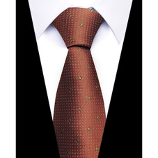 Formal Classic Patterned Tie product image