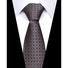 Formal Classic Patterned Tie product image