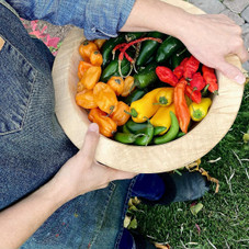Hapinest Indoor Hot and Spicy Pepper Garden Seed Starter Kit  product image
