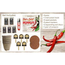 Hapinest Indoor Hot and Spicy Pepper Garden Seed Starter Kit  product image