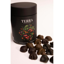Terra Supergreens Gummies product image