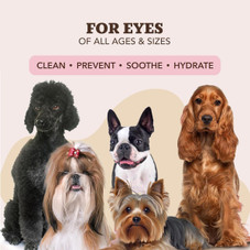 Essential Oil-Infused Dog Ear Wipes (50 Ct)  product image