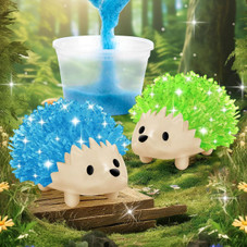 Hedgehog Crystal Growing Kit product image