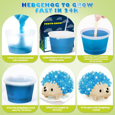 Hedgehog Crystal Growing Kit product image