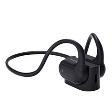 Wireless Earbuds with Interchangeable Neckband and Earhook  product image