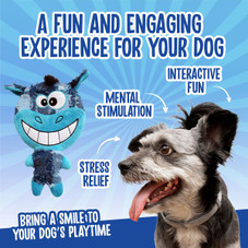 Scoochie Pet Squeaky Dog Chew Toy product image