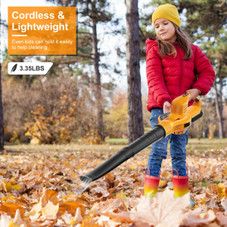 Dual Speed Cordless Leaf Blower product image