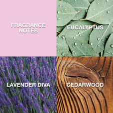 Lucky Brand Re/Lax Unisex Fine Fragrance Mist (2-Pack) product image Lucky Brand Re/Lax Unisex Fine Fragrance Mist (2-Pack) product image