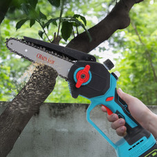 2-in-1 Pole Saw and Mini Chainsaw product image