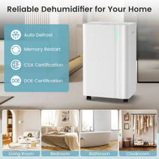 54 Pint Dehumidifier with Drain Hose product image