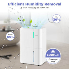Dehumidifier with Intelligent Touch Panel  product image