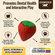 Everfetch Natural Rubber Scented Funky Dog Toys product image