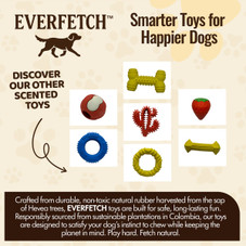 Everfetch Natural Rubber Scented Funky Dog Toys product image