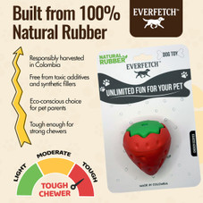 Everfetch Natural Rubber Scented Funky Dog Toys product image