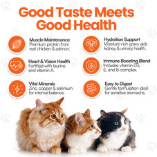 Scoochie Pet Salmon, Chicken Stew Wet Cat Food (4, 8, or 16-Pack) product image