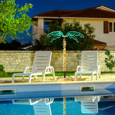 Coconut Tree Garden Light product image