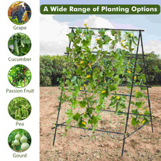 Cucumber Trellis  product image