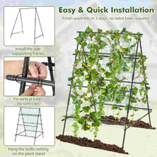 Cucumber Trellis  product image