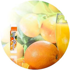 Moisturizing Vitamin E Lip Balm product image