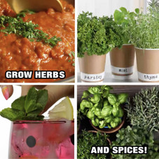 Bell+Howell Bionic Grow Light for Indoor Plants product image