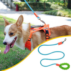 Traction Leash for Dogs product image