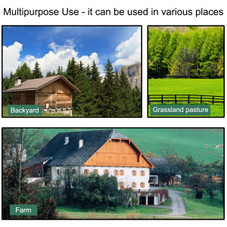 Ornamental Windmill  product image