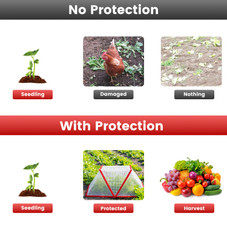 Garden Row Accelerator Plant Cover (4-Pack) product image