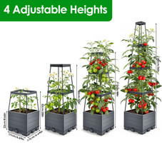 Planter Box with Trellis (2-Pack) product image