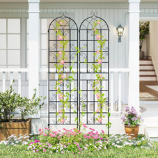 Heavy-Duty Metal Garden Trellis (2 or 4-Pack) product image