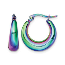 Stainless Steel Polished Rainbow Hoop Earrings product image