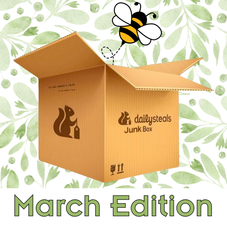 DailySteals Junk Box - March 2026 Edition product image