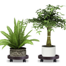 Plant Caddy with 360° Swiveling Wheels (4-Pack) product image