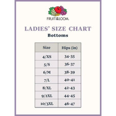 Fruit of the Loom Women's Heather Brief Panty (6 Pack) product image