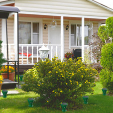 Solar Powered Mole Repellent (8-Pack) product image