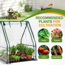 Outdoor Mini  Greenhouse product image