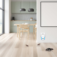 Ultrasonic Pest Repellent (6-Pack) product image