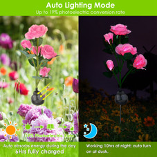 Solar Garden Rose Light (2-Pack) product image