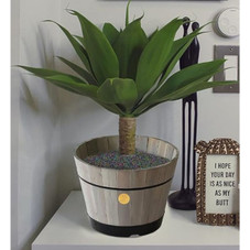 VegTrug Barrel Planter product image