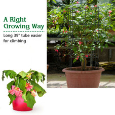 Tomato Cage / Plant Trellis (4-Pack) product image