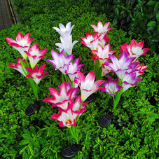 Solar Garden Flower Lights (2-Pack) product image