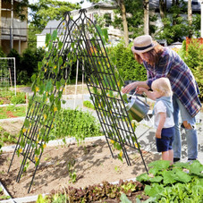 Metal Garden Trellis for Climbing Plants product image