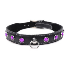 Master Series Royal Vixen Black Leather Choker Necklace product image