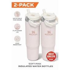 STANLEY IceFlow Flip Straw Tumbler (2-Pack) product image