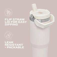 STANLEY IceFlow Flip Straw Tumbler (2-Pack) product image