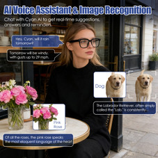 AI Smart Glasses product image