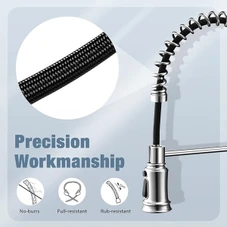 WaterSong Kitchen Sink Pull-Down Faucet product image