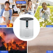 Air Purifier Cleaner HEPA Filter (475 Sq.ft) product image